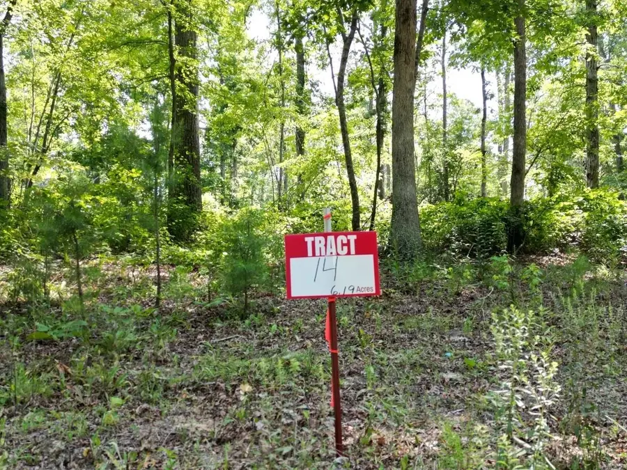 TRACT 14 BRUTON BRANCH RD, Savannah, TN 38372 - #2