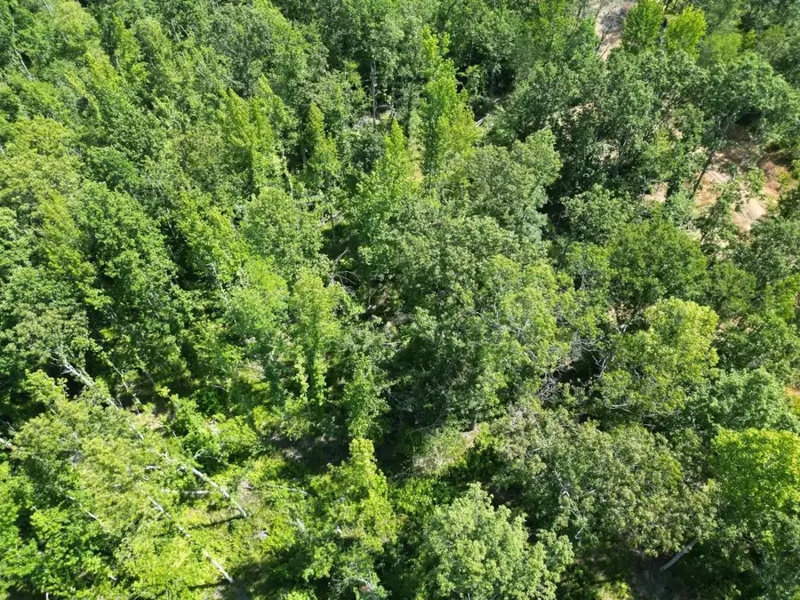 TRACT 14 BRUTON BRANCH RD, Savannah, TN 38372 - #3