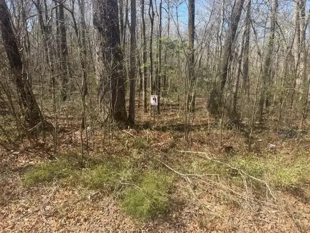 TRACT 9 22A HWY, Jacks Creek, TN 38347 - #1