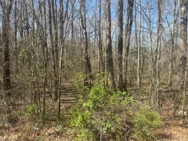 TRACT 9 22A HWY, Jacks Creek, TN 38347 - #3
