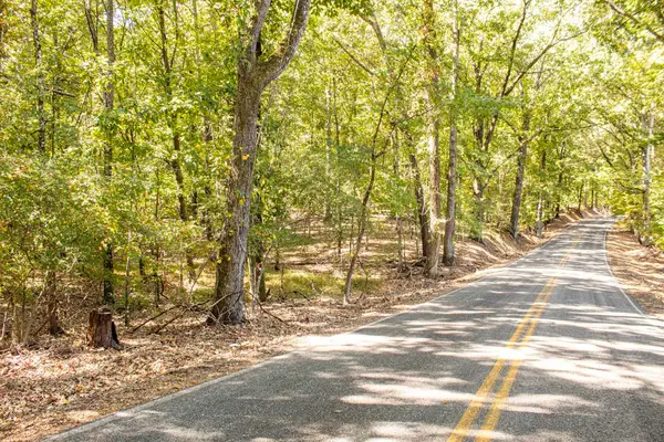 0 DONELLSON RD, Arlington, TN 38002