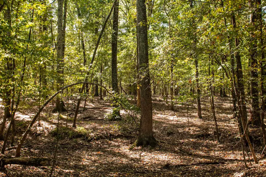 0 DONELLSON RD, Arlington, TN 38002 - #3