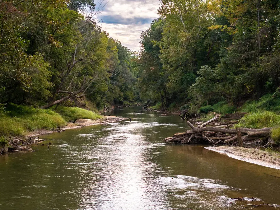 280 FIELDS RD, Dukedom, TN 38226 - #3