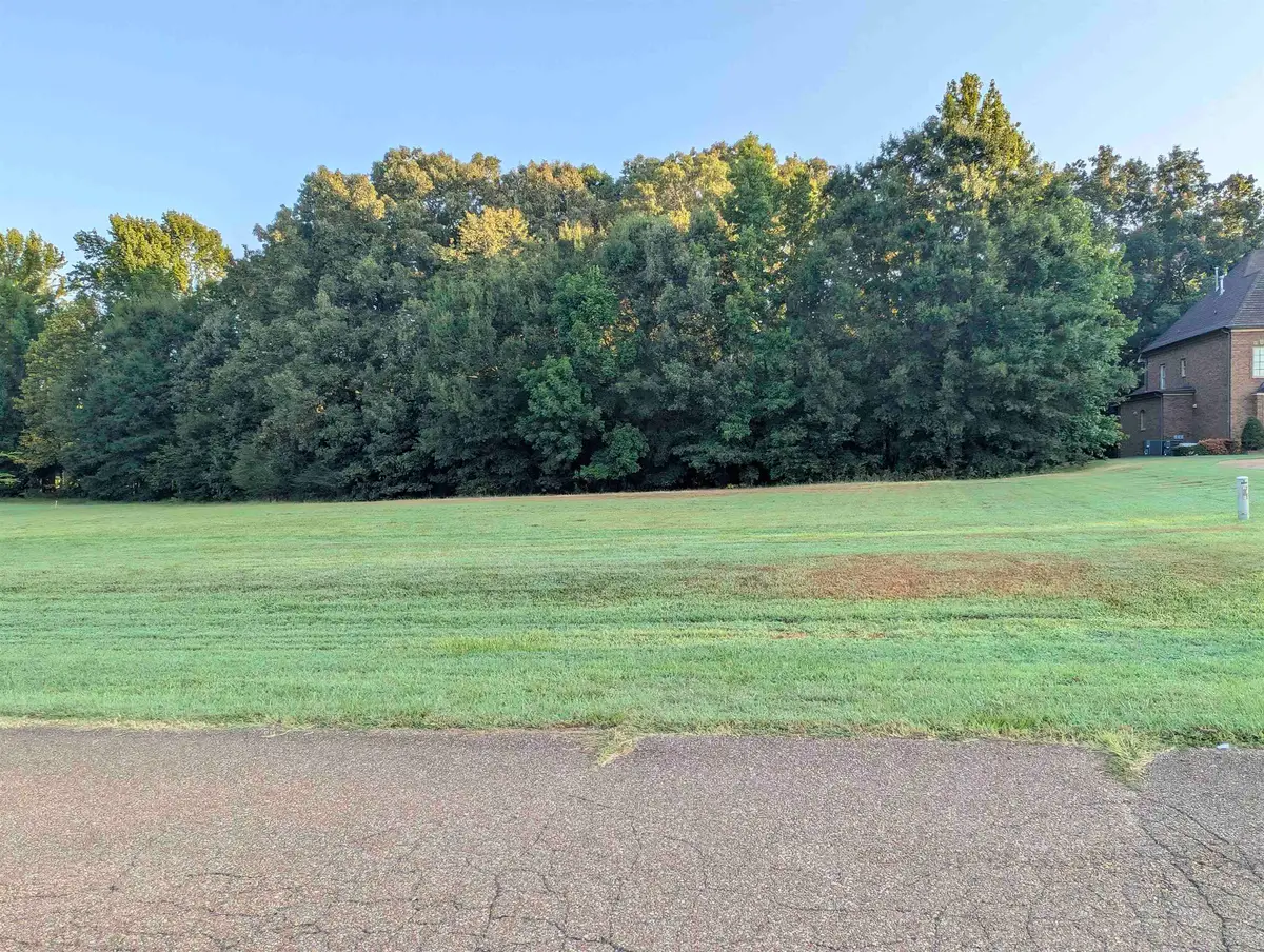 11888 STABLE VIEW DR #Lot 20, Eads, TN 38028 - #1