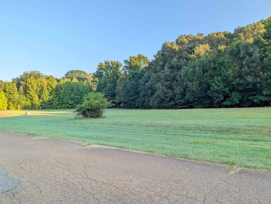 11888 STABLE VIEW DR #Lot 20, Eads, TN 38028 - #2