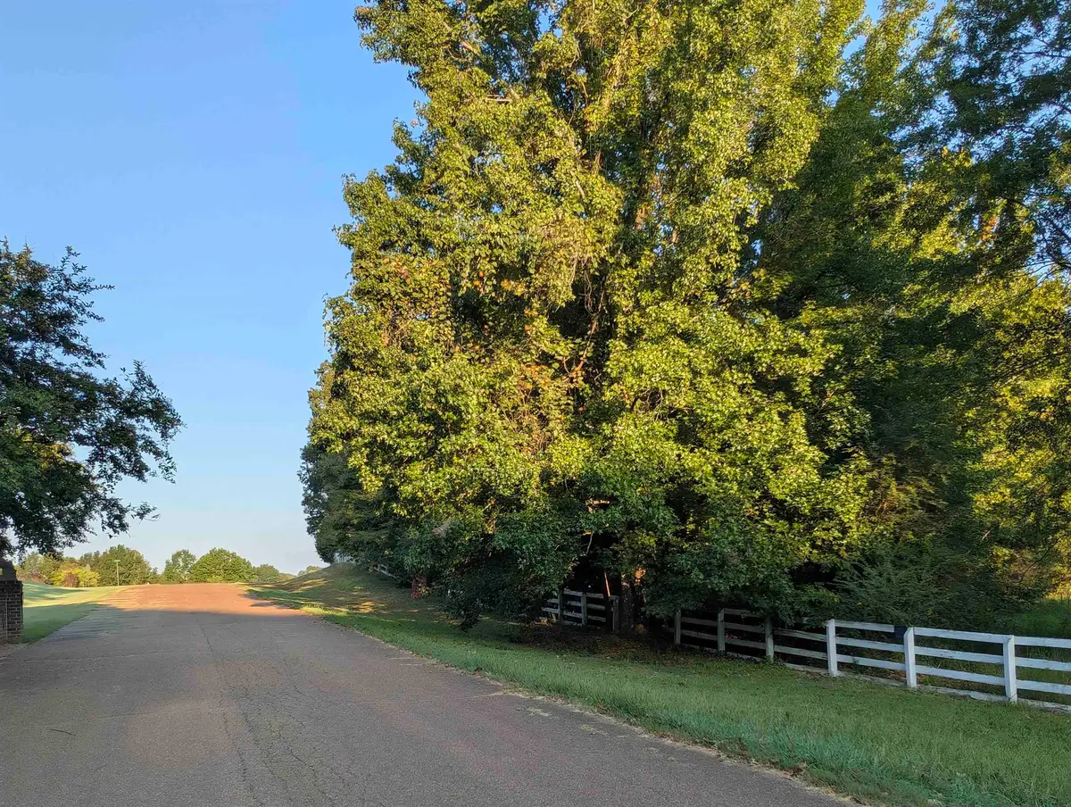 11926 STABLE VIEW DR, Eads, TN 38028 - #1