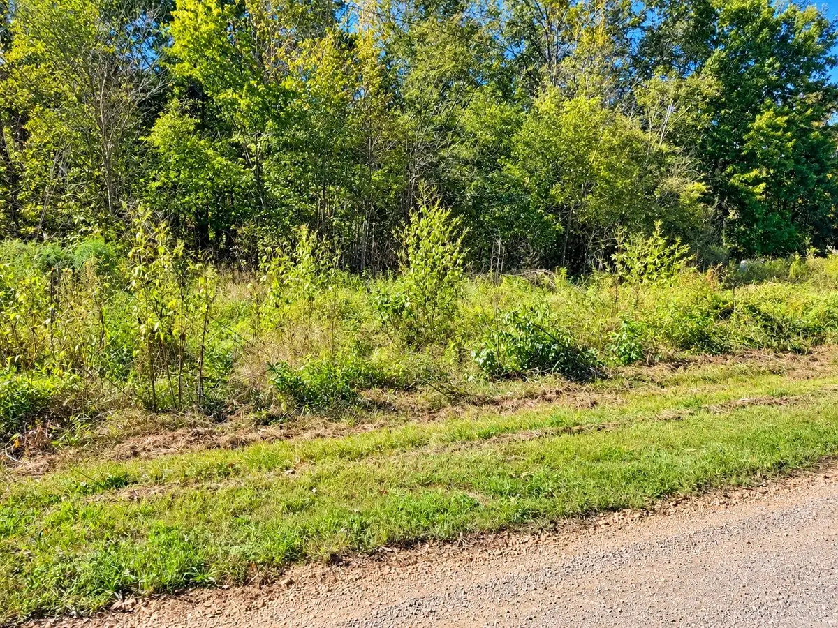 15 TOWBOAT LN, Adamsville, TN 38310 - #1