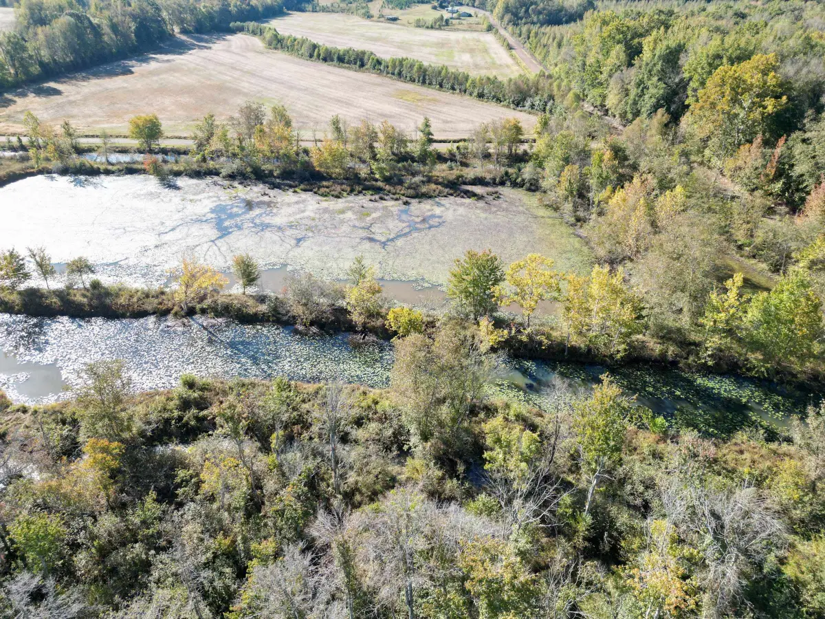 TRACT 1 OVERTON LOOP, Medon, TN 38356 - #1