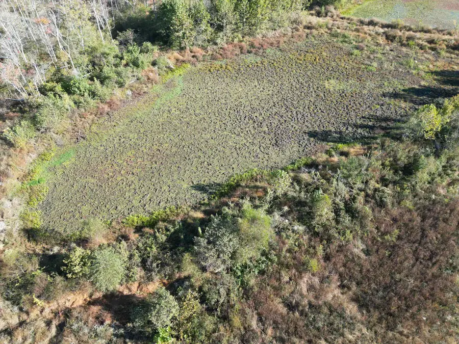 TRACT 4 OVERTON LOOP, Medon, TN 38356 - #3