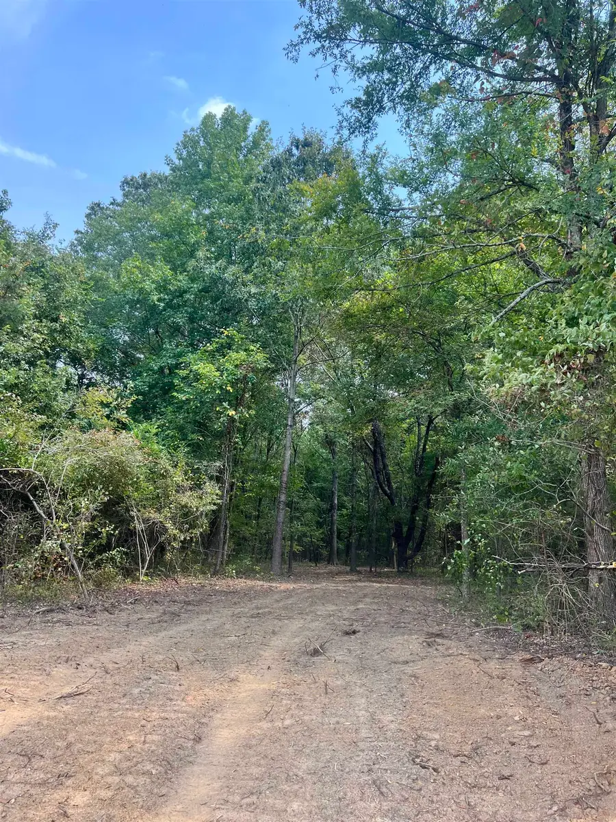TRACT 1 ANDREW RD, Mason, TN 38049 - #2