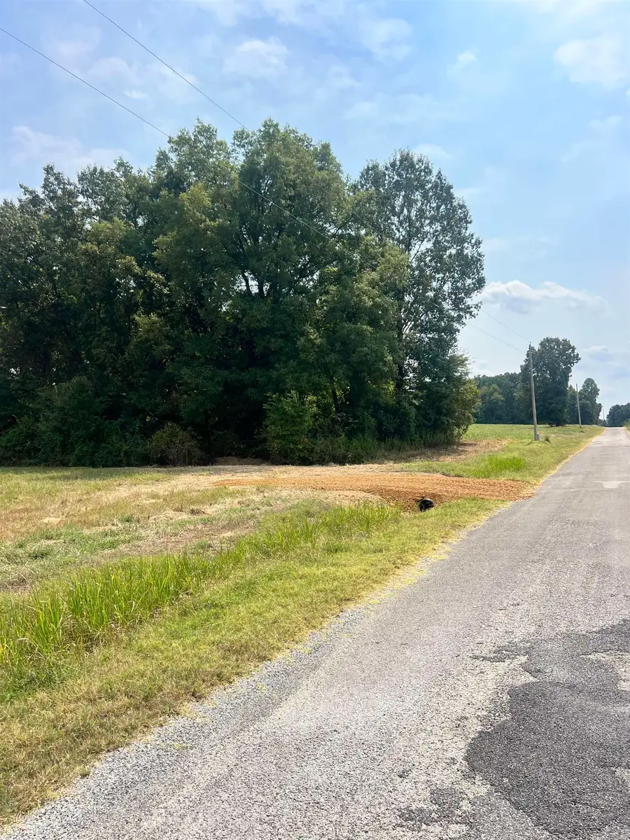 TRACT 3 ANDREW RD, Mason, TN 38049 - #3