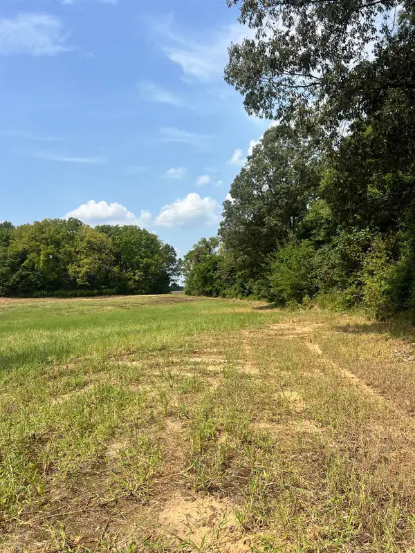 TRACT 6 ANDREW RD, 38049, TN 38049