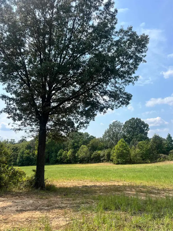 TRACT 7 ANDREW RD, 38049, TN 38049