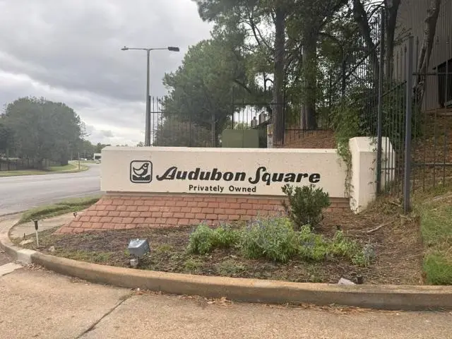 810 THISTLEDOWN DR #1302, Memphis, TN 38117 - #1