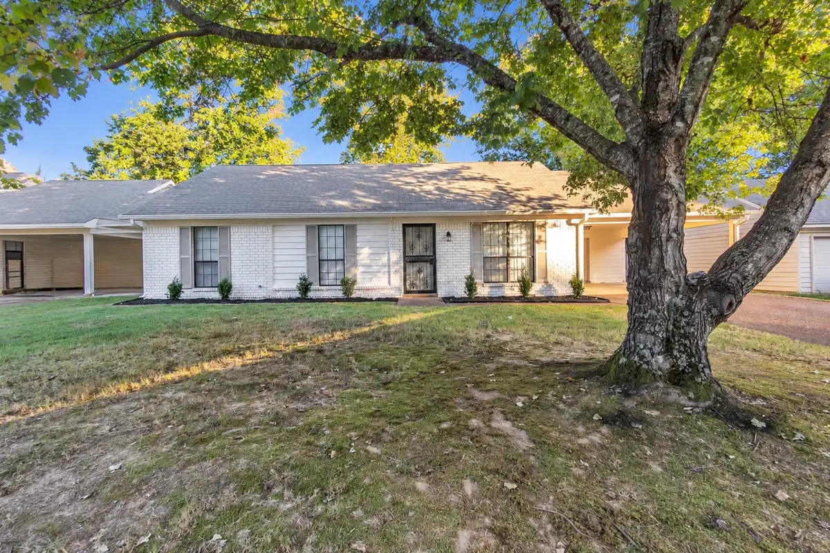 3748 SCHANNA DR, Memphis, TN 38135 - #1
