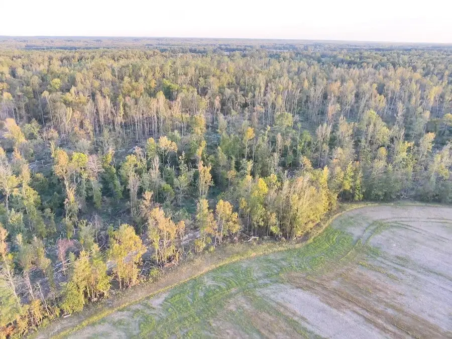 0 BUSTER RD, Middleton, TN 38052-3917 - #2
