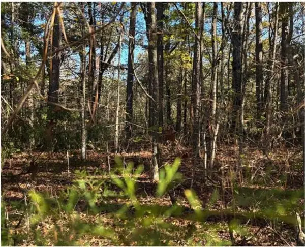 151 WOODRUN CIR, Middleton, TN 38052