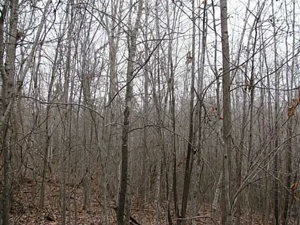 0 MCCULLOUGH ROAD, Morris Chapel, TN 38361