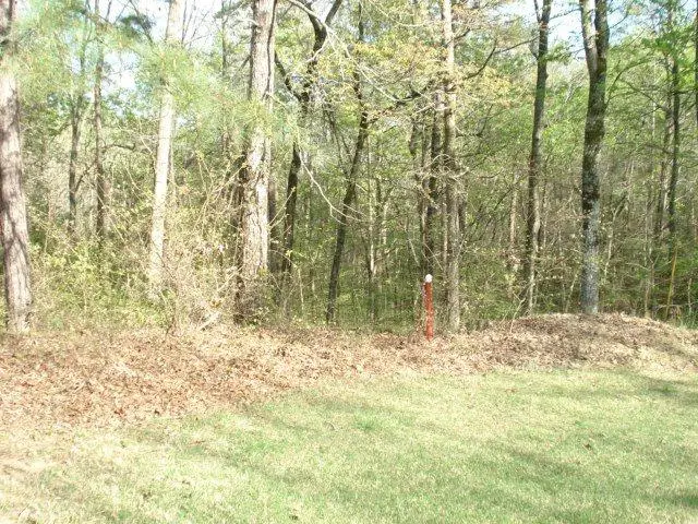 505A BRIAR CREEK RD, Counce, TN 38326 - Image #2