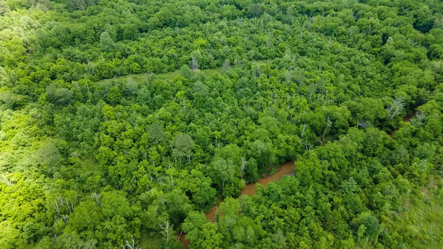 Lot 3 State Highway 163, Calhoun, TN 37309 - Image #3