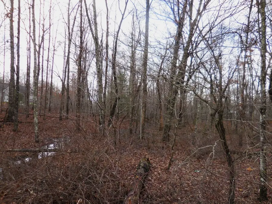 1143 Natchez Trace, Crossville, TN 38572 - Image #3