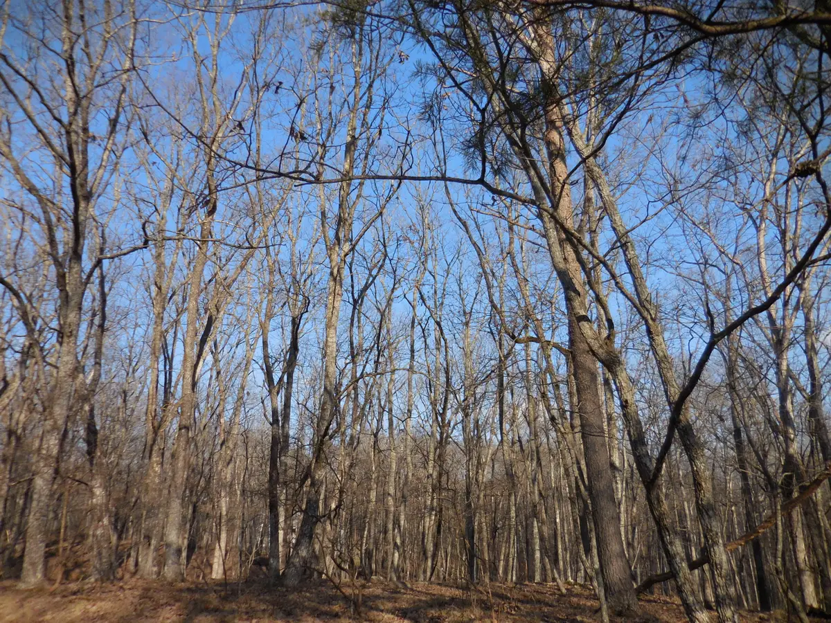 133 Greenbrier Loop, Crossville, TN 38558 - Image #1