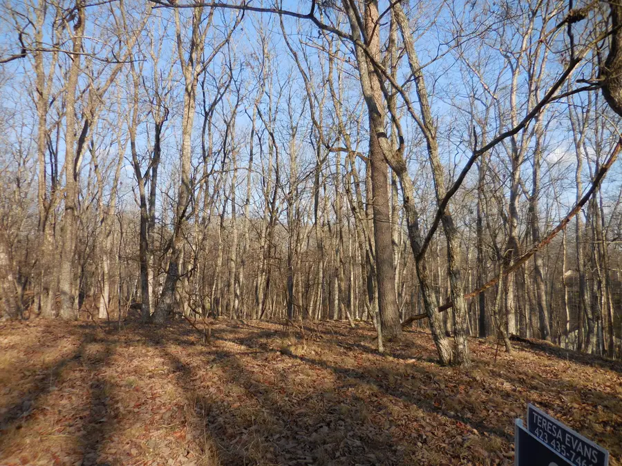 133 Greenbrier Loop, Crossville, TN 38558 - Image #3