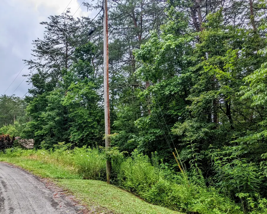 Lot 32 Lakeview Drive, Turtletown, TN 37391 - Image #3