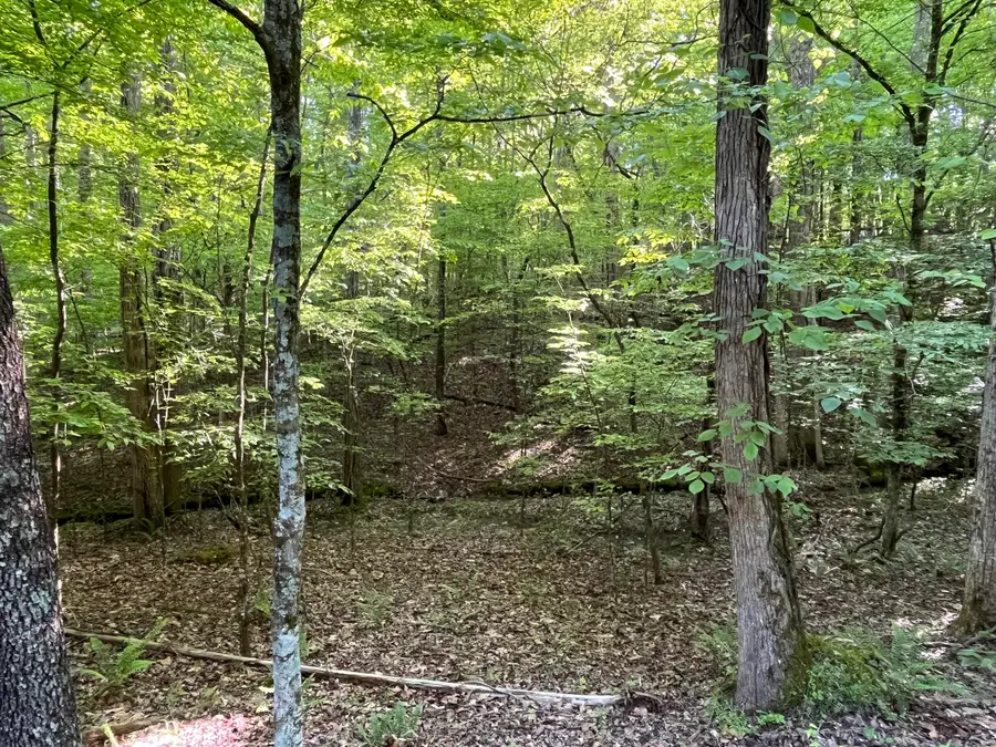 328-329 Omega Drive, Spring City, TN 37381 - Image #2