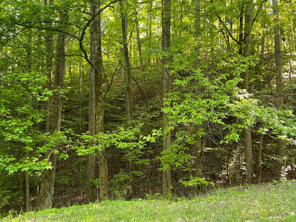 336-342 Omega Drive, Spring City, TN 37381 - Image #1