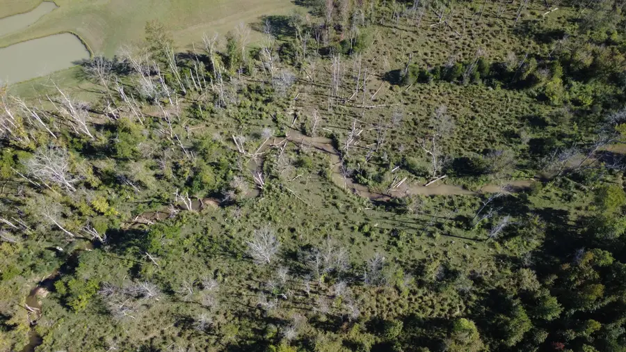 00 No Pone Valley Road Nw, Georgetown, TN 37336 - Image #3