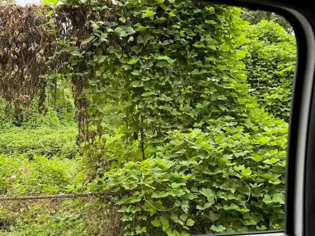 Lot#1 Country Club Drive Sw, Cleveland, TN 37311 - Image #3