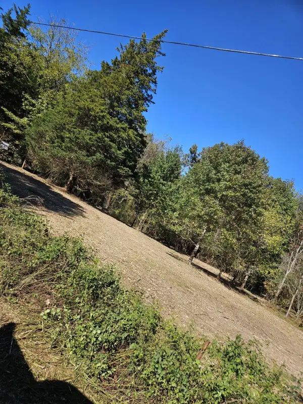 0 Sugar Tree Trail, Birchwood, TN 37308