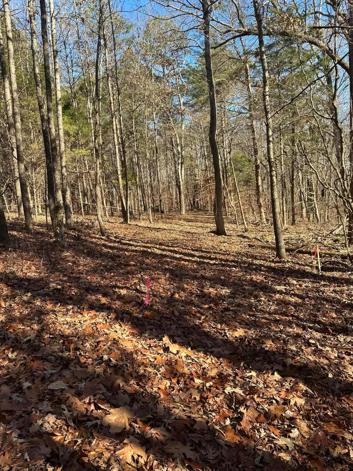 Lot 2 Lower River Road Nw, Charleston, TN 37310 - #1