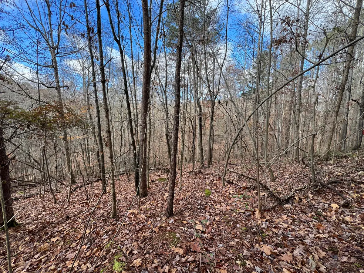 0 Smyrna Road, Evensville, TN 37332 - Image #1