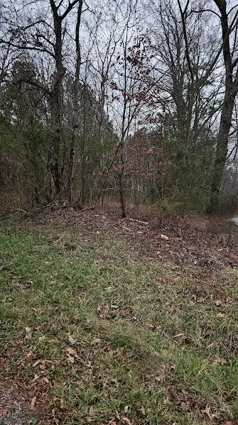 00 County Road 609, Etowah, TN 37331 - Image #2