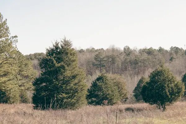 0 Rhea County Highway, Dayton, TN 37321