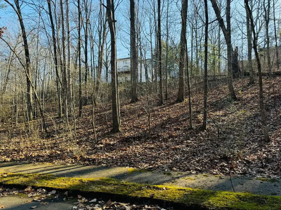 4742 Buckingham Drive, Chattanooga, TN 37421 - Image #2