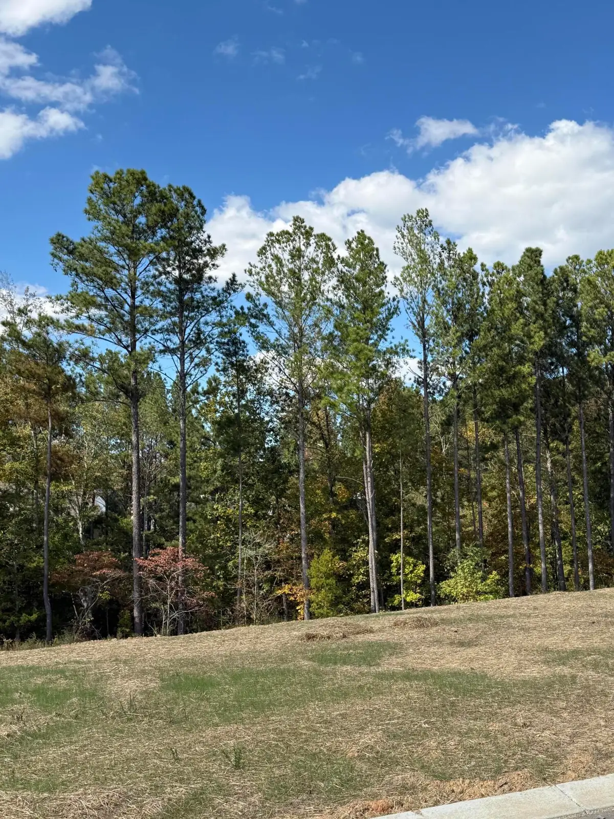 Lot 4 Creekwood, Cleveland, TN 37312 - #1