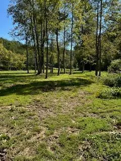 63.74 Chestnut Valley Road, Vonore, TN 37885 - Image #2
