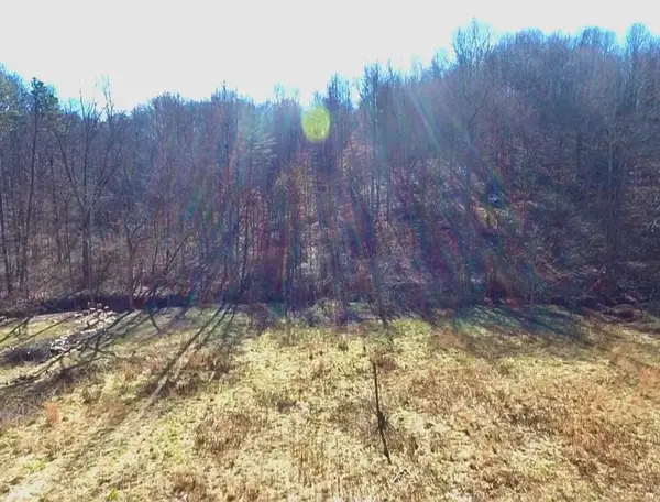 26 Acres Burger Branch County Rd 464, Englewood, TN 37329