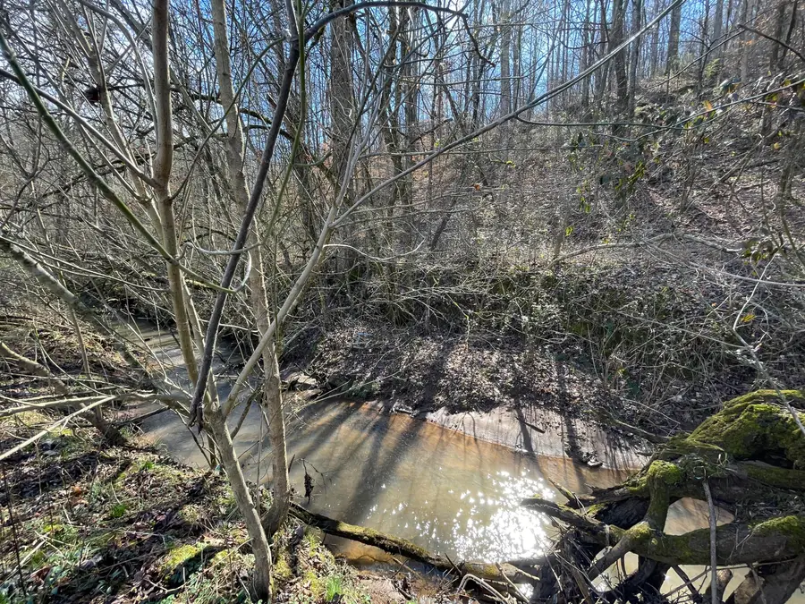 26 Acres Burger Branch County Rd 464, Englewood, TN 37329 - Image #2