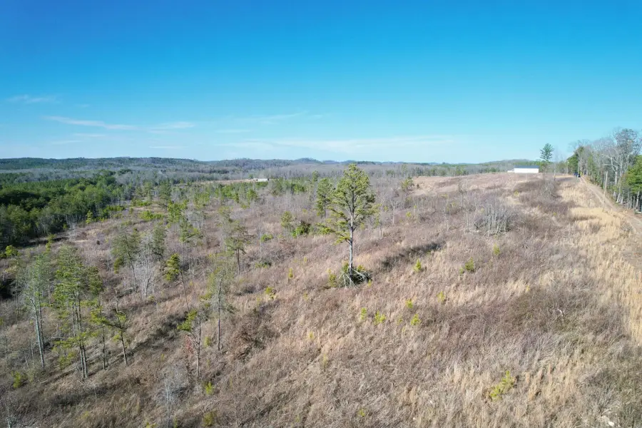 360 County Road 963, Calhoun, TN 37309 - Image #3