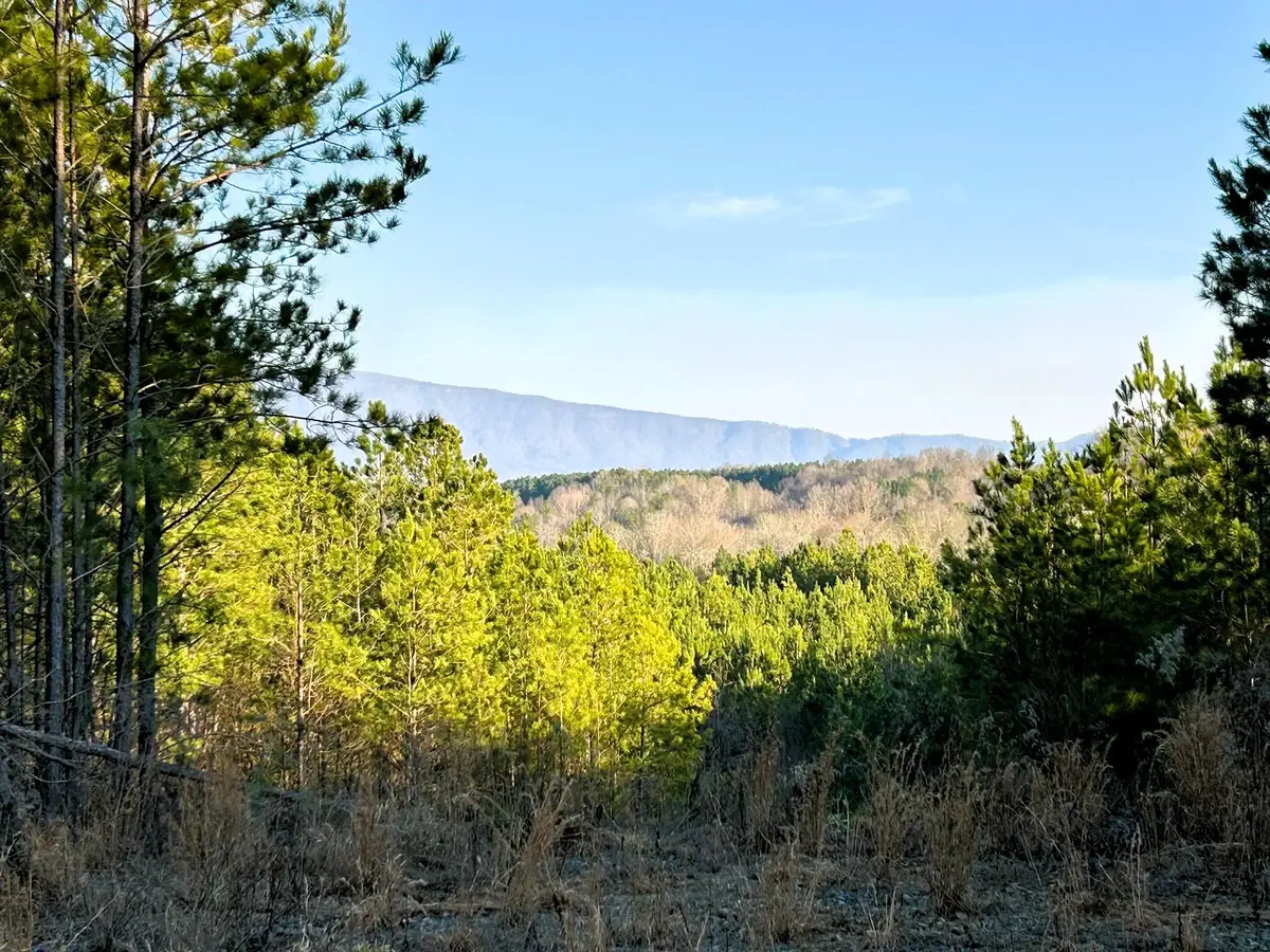 00 Freedom Way, Calhoun, TN 37309 - Image #1