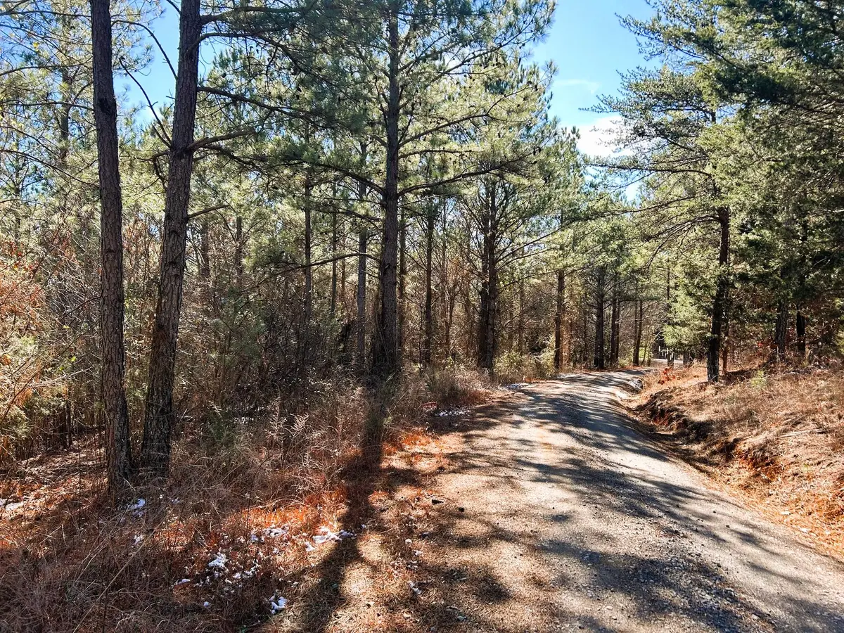 2a Redman Ridge Lane, Decatur, TN 37322 - Image #1