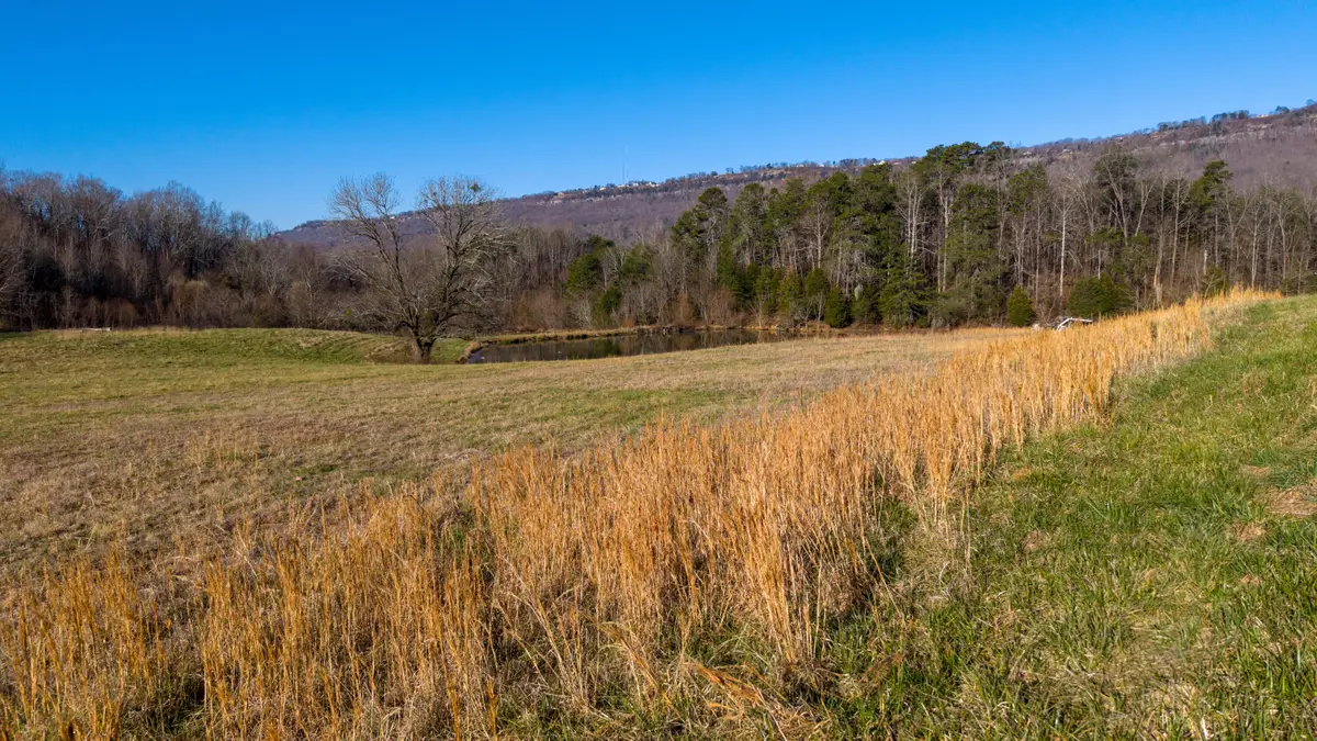 4975 Browntown Road, Chattanooga, TN 37415 - #1