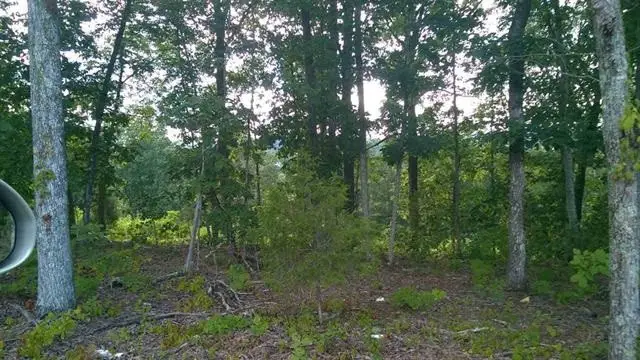 Lot104/105 Peach Orchard Hill Road Ne, Cleveland, TN 37323 - #1