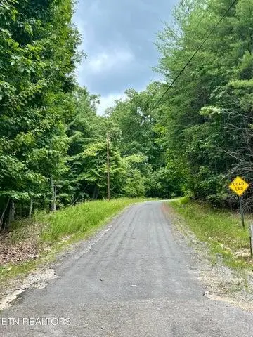 00 Dogwood Court, Spring City, TN 37381