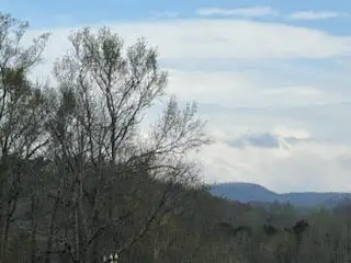 00 Ball Play Road, Old Fort, TN 37362 - Image #3