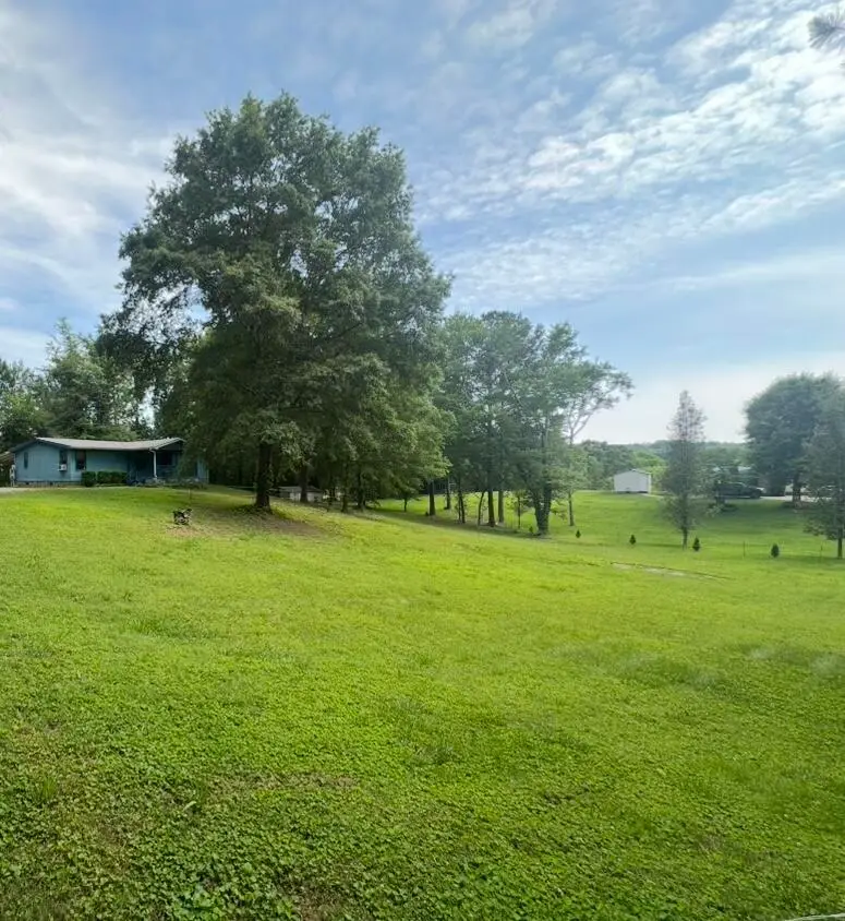 320 Oak View Lane, Dayton, TN 37321 - Image #3